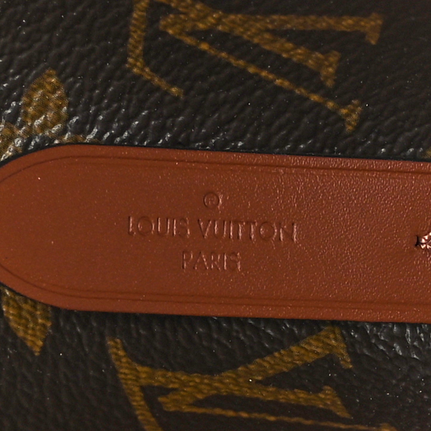 Monogram Neonoe MM Caramel