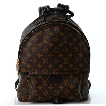Louis Vuitton Monogram Palm Springs Backpack MM 1 of 10
