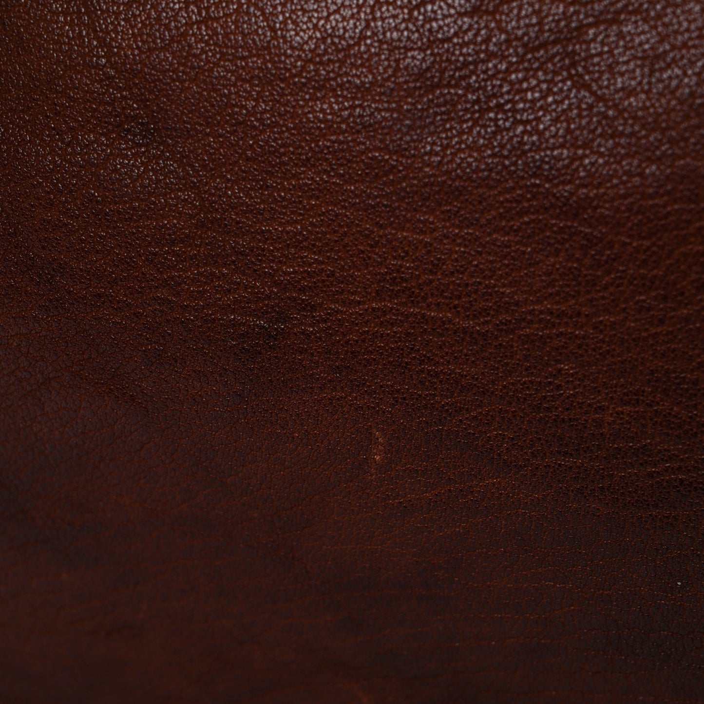 Buffalo Leather Studded Hobo Brown