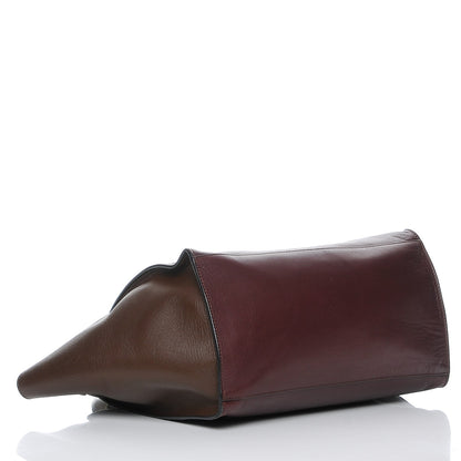 Celine Smooth Calfskin Medium Tri-Color Trapeze 5 of 9