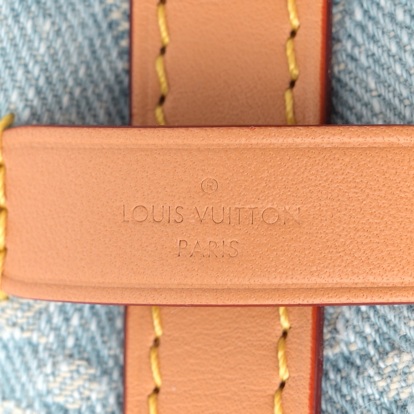 Monogram Denim CarryAll PM Sky Blue