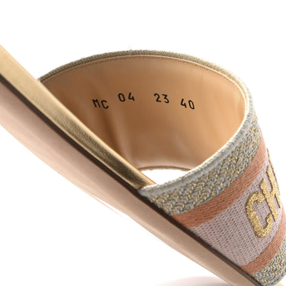 Christian Dior Canvas Lurex Embroidered Dway Flat Slide Sandals 38 Platinum 40 Platinum 9 of 10