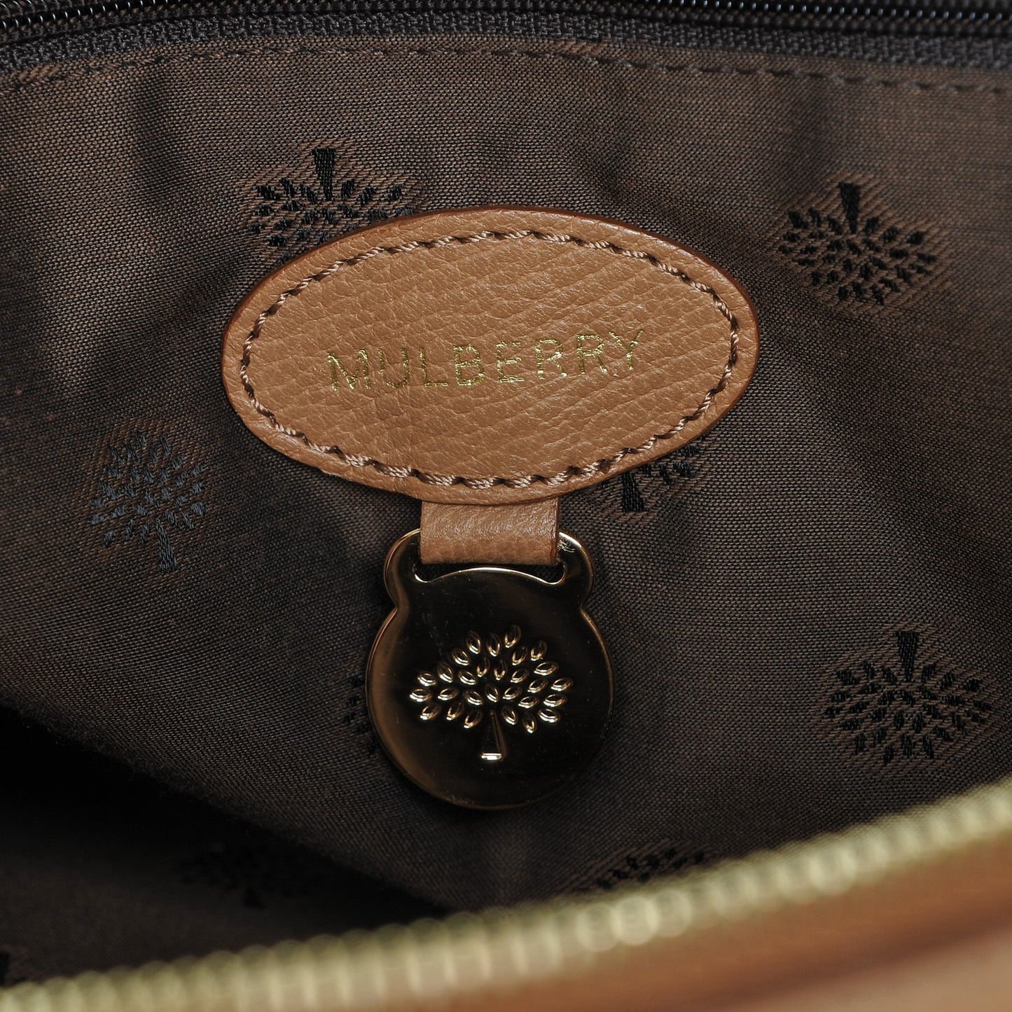 Glossy Goatskin Medium Del Rey Satchel Fudge