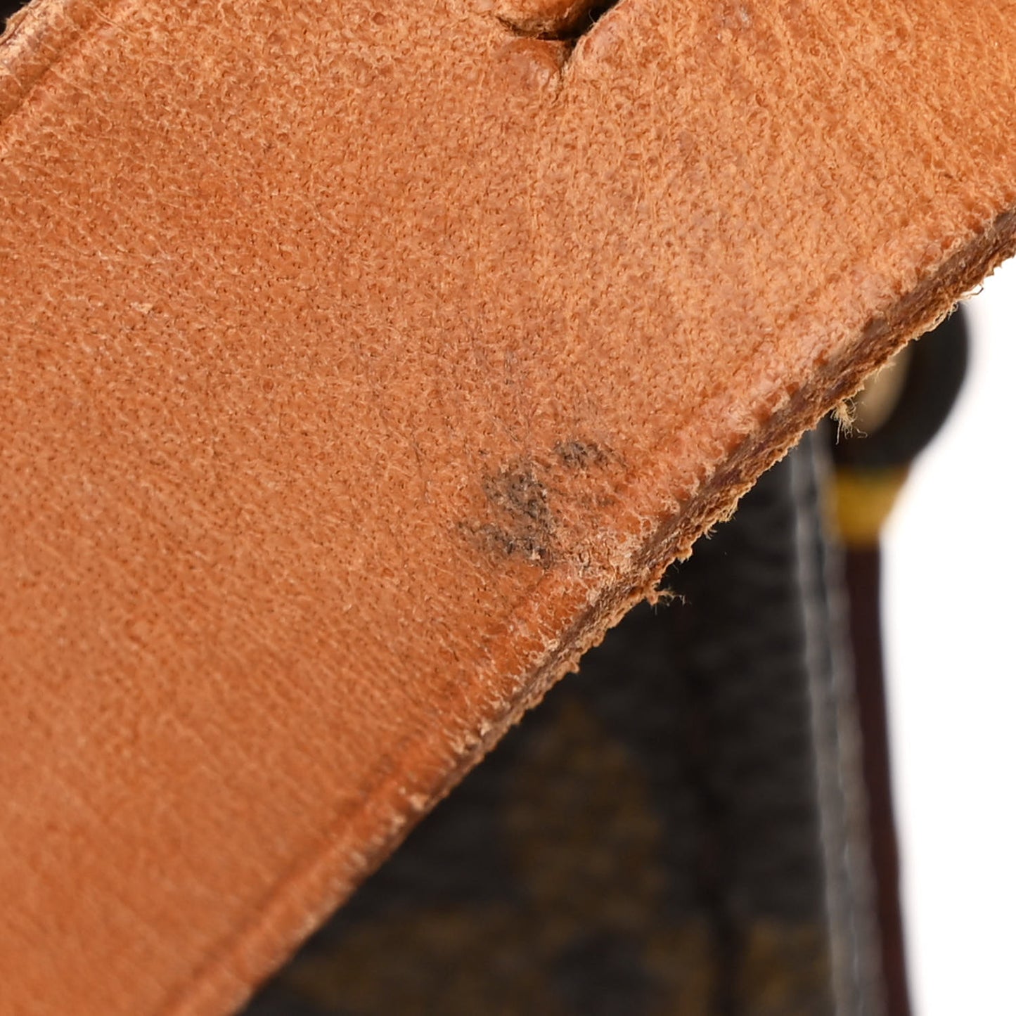 Monogram Cartouchiere 22