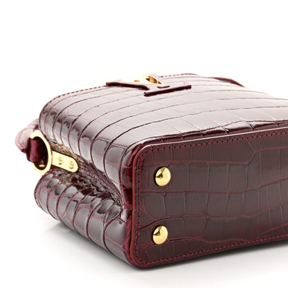 Louis Vuitton Crocodile Mini Capucines Bordeaux 7 of 8