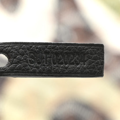 Goyard Goyardine Saint Louis Lettres Camouflage PM Black Green 8 of 11