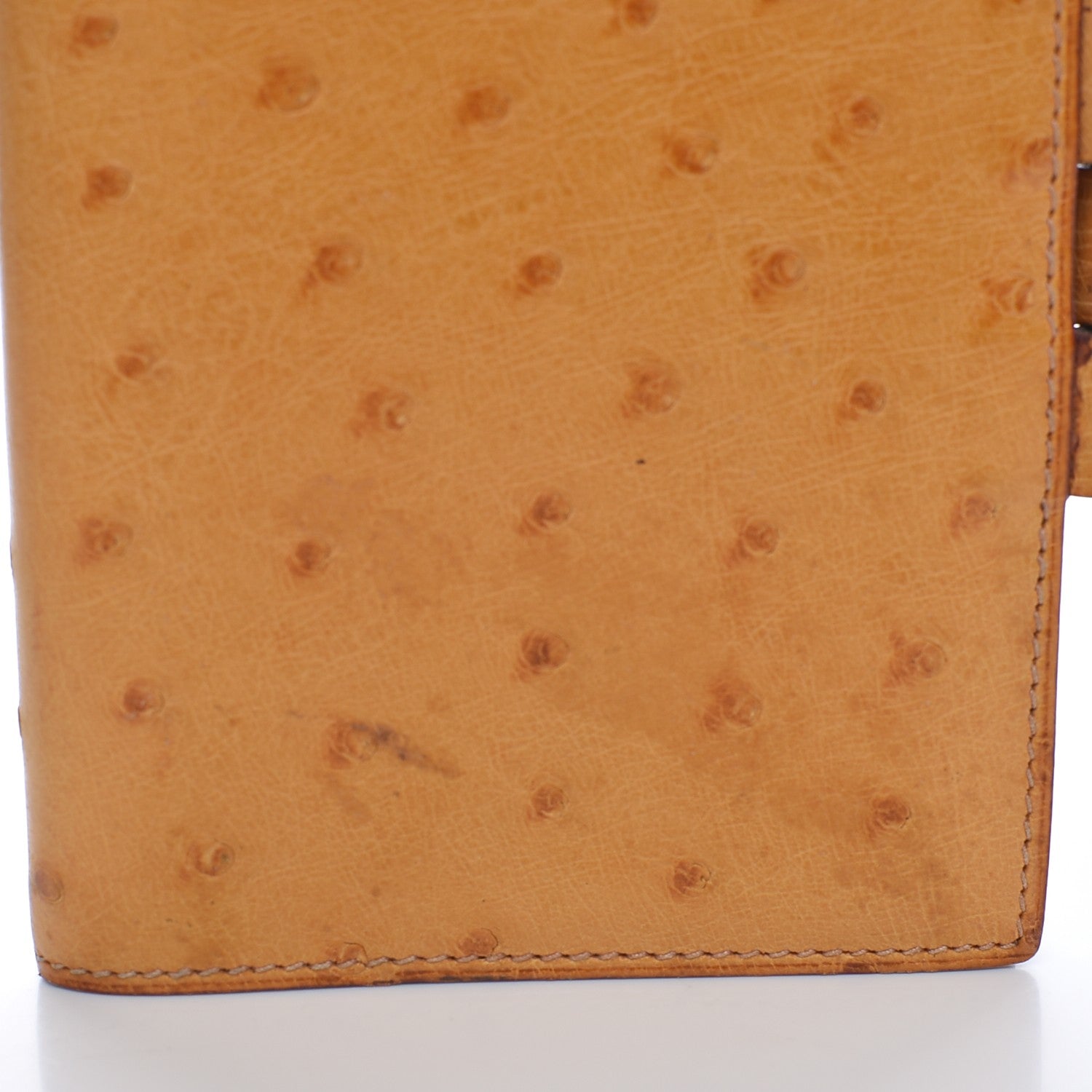 Hermes Ostrich Vision Agenda Cover PM Gold 9 of 12