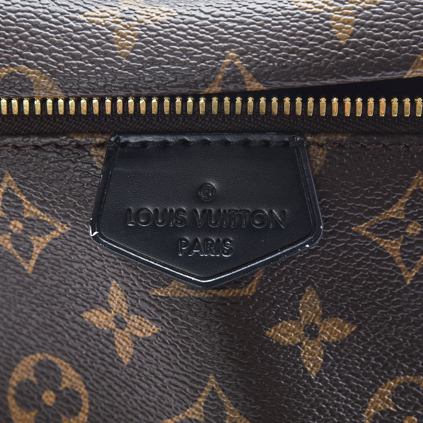 Monogram My LV World Tour Bumbag