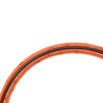 Hermes Ostrich Birkin 30 Orange 12 of 16