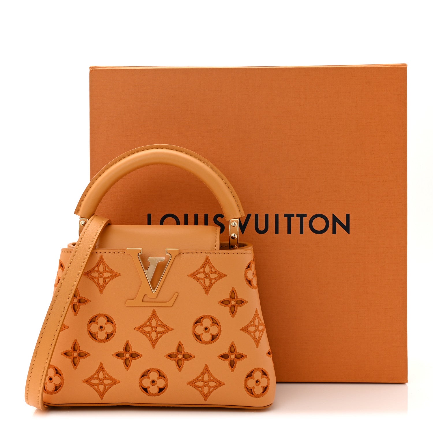 Louis Vuitton Calfskin LV Broderie Anglaise Mini Capucines Saffron 18 of 18