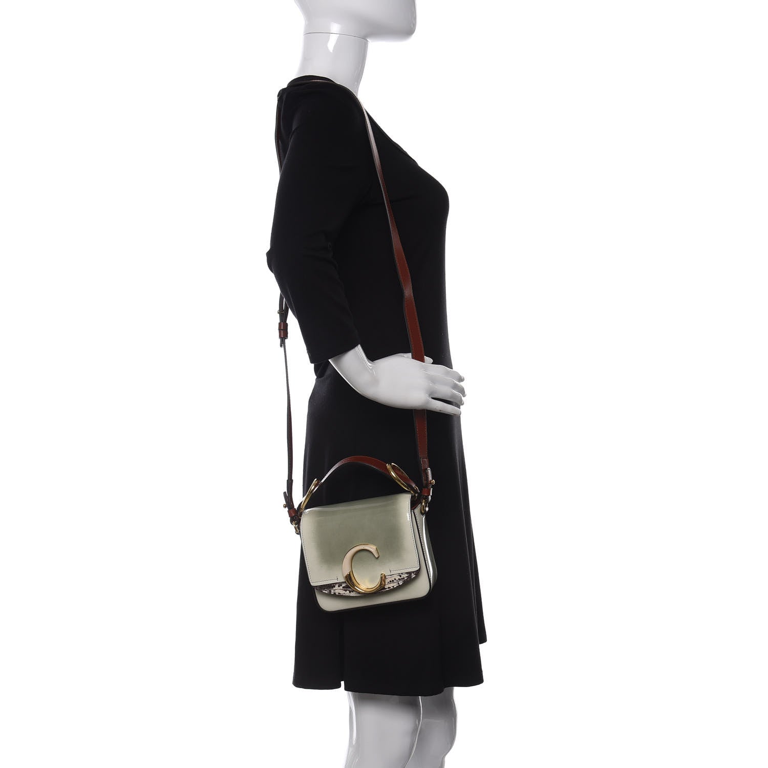Chloe Shaded Glossy Calfskin Lizard Embossed Mini C Double Carry Antique Green 2 of 10