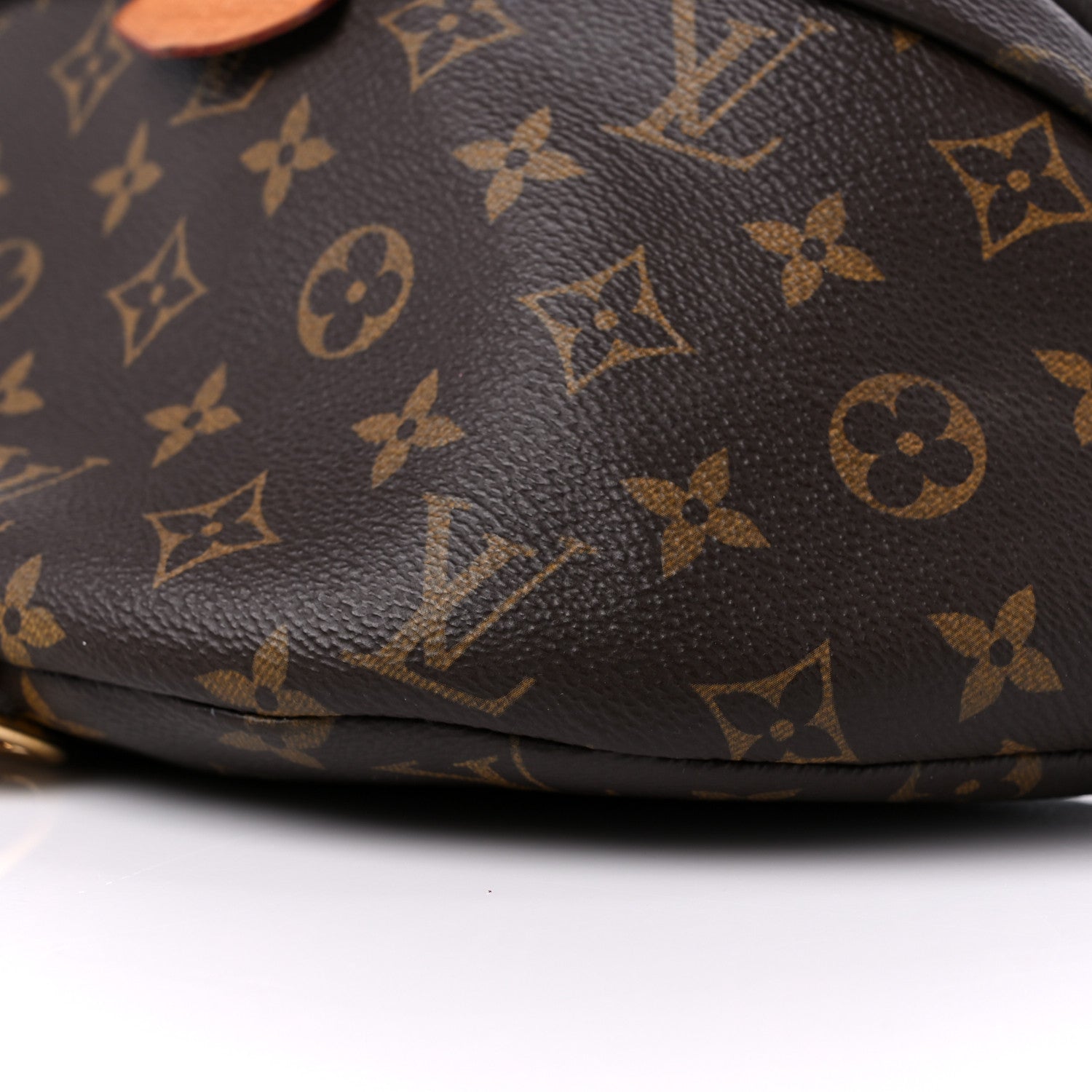 Louis Vuitton Monogram Bumbag 9 of 15