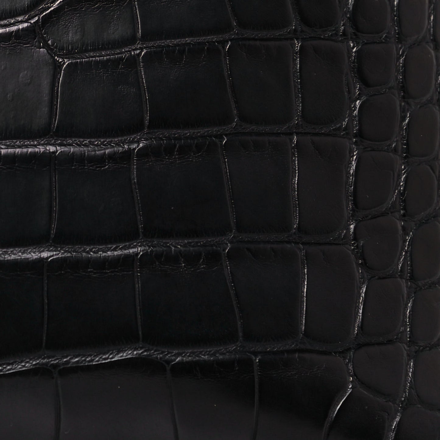 Matte Alligator Bolide Mini 1923 Black