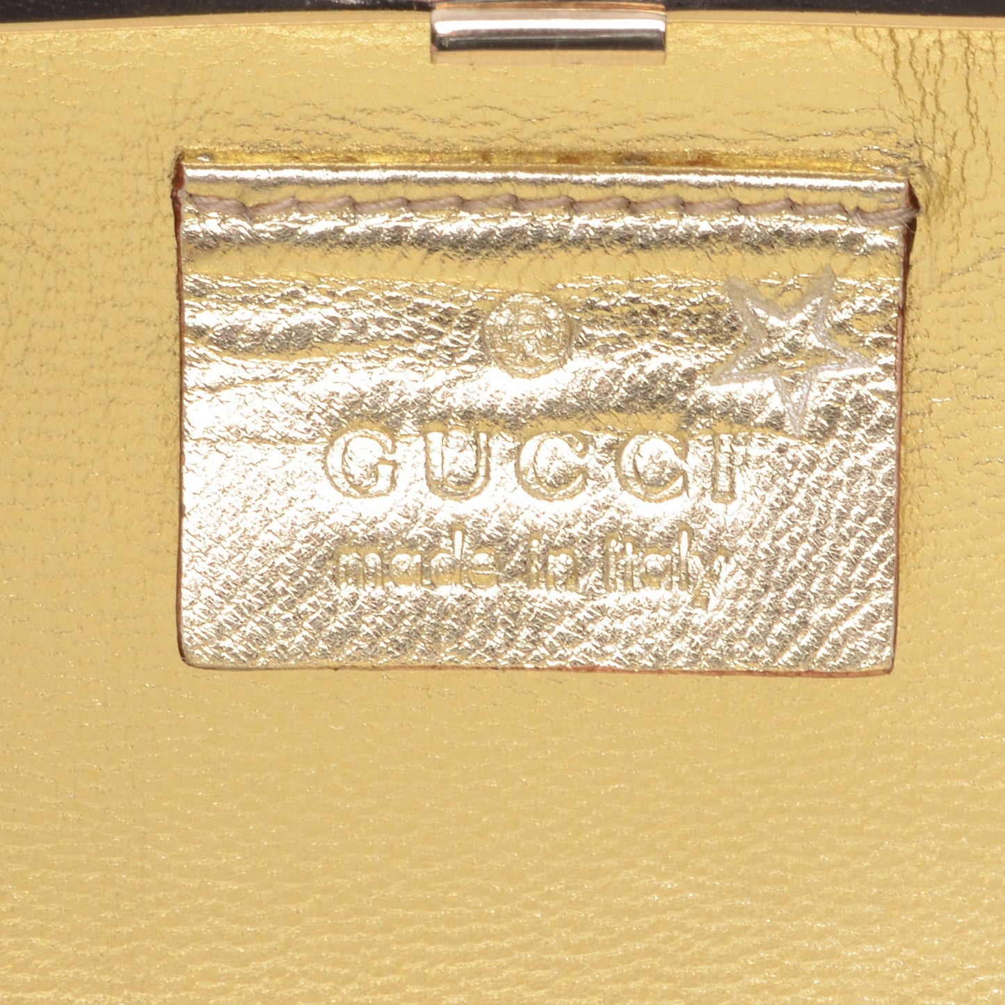 Metal Guccissima Dragonfly Minaudiere Clutch