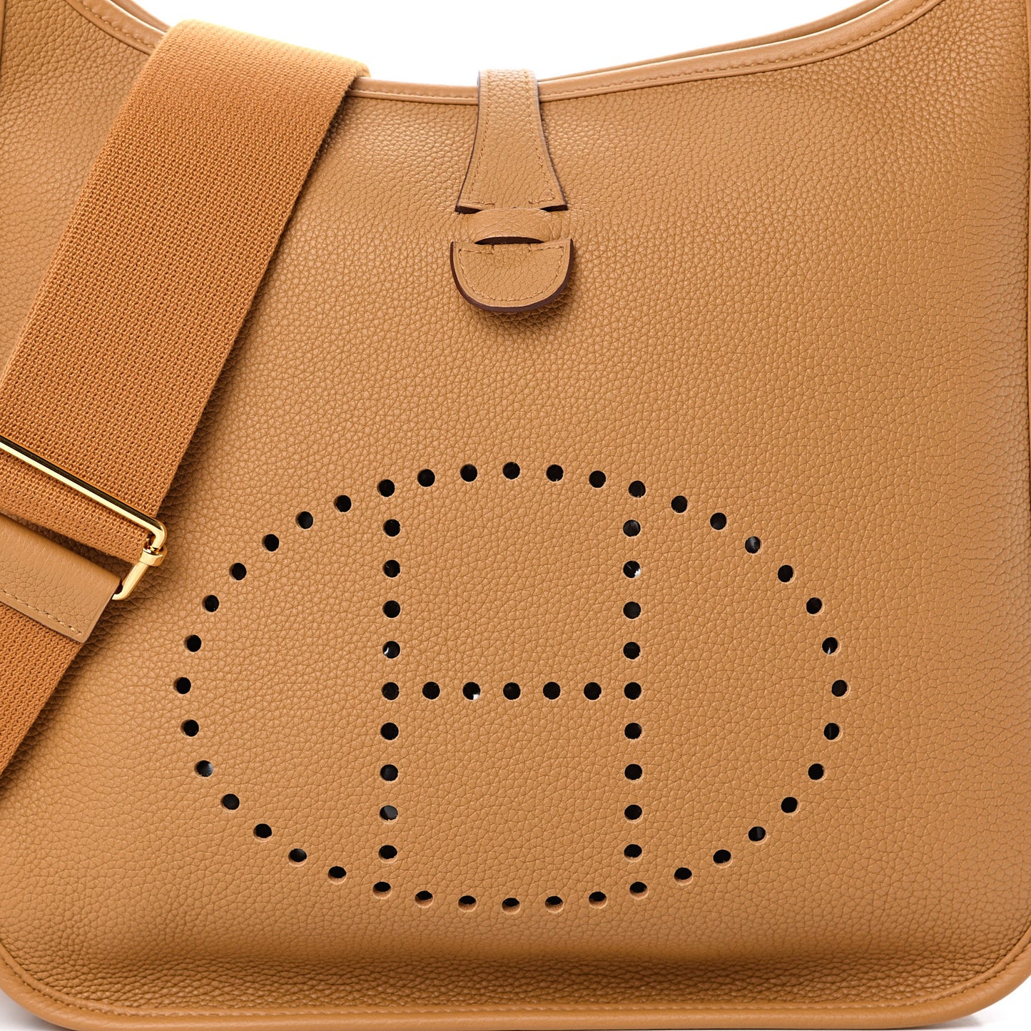 Taurillon Maurice Evelyne III PM Sesame
