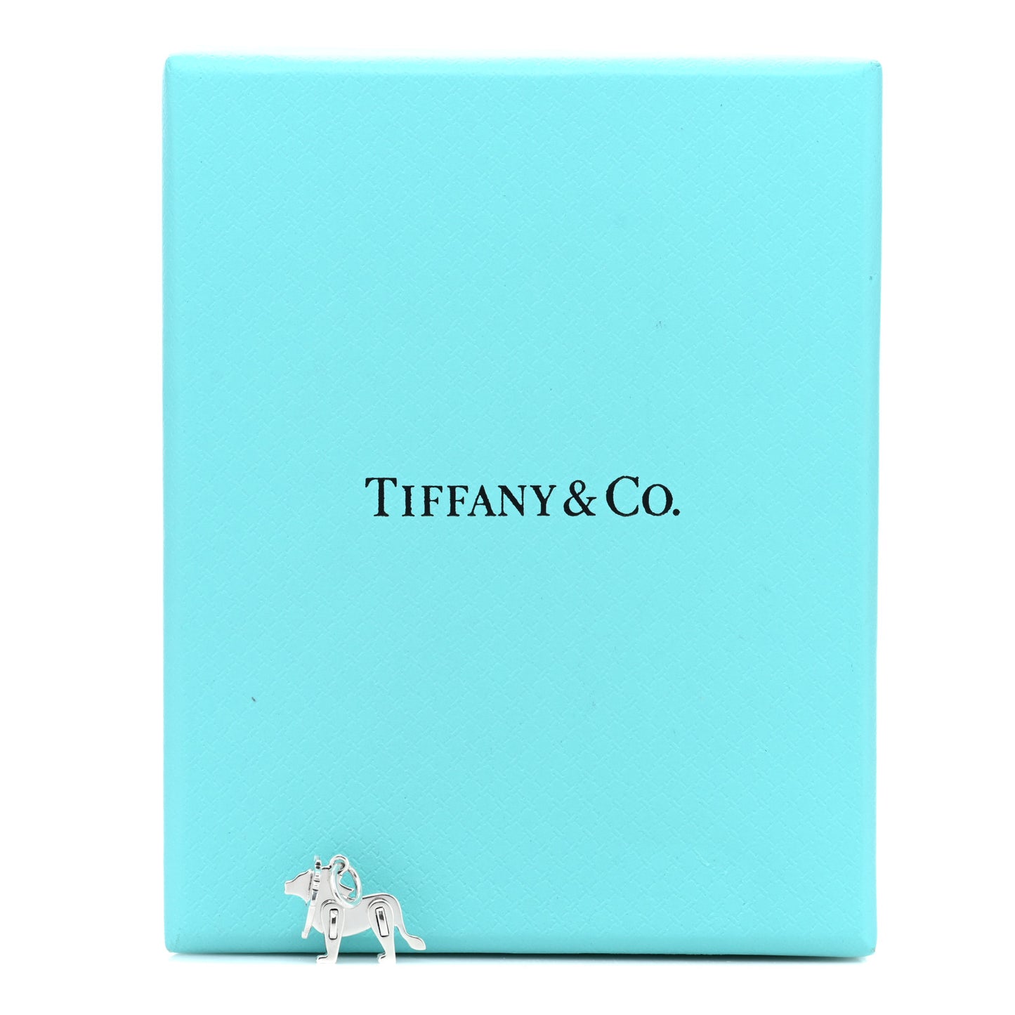 Sterling Silver Save the Wild Lion Charm