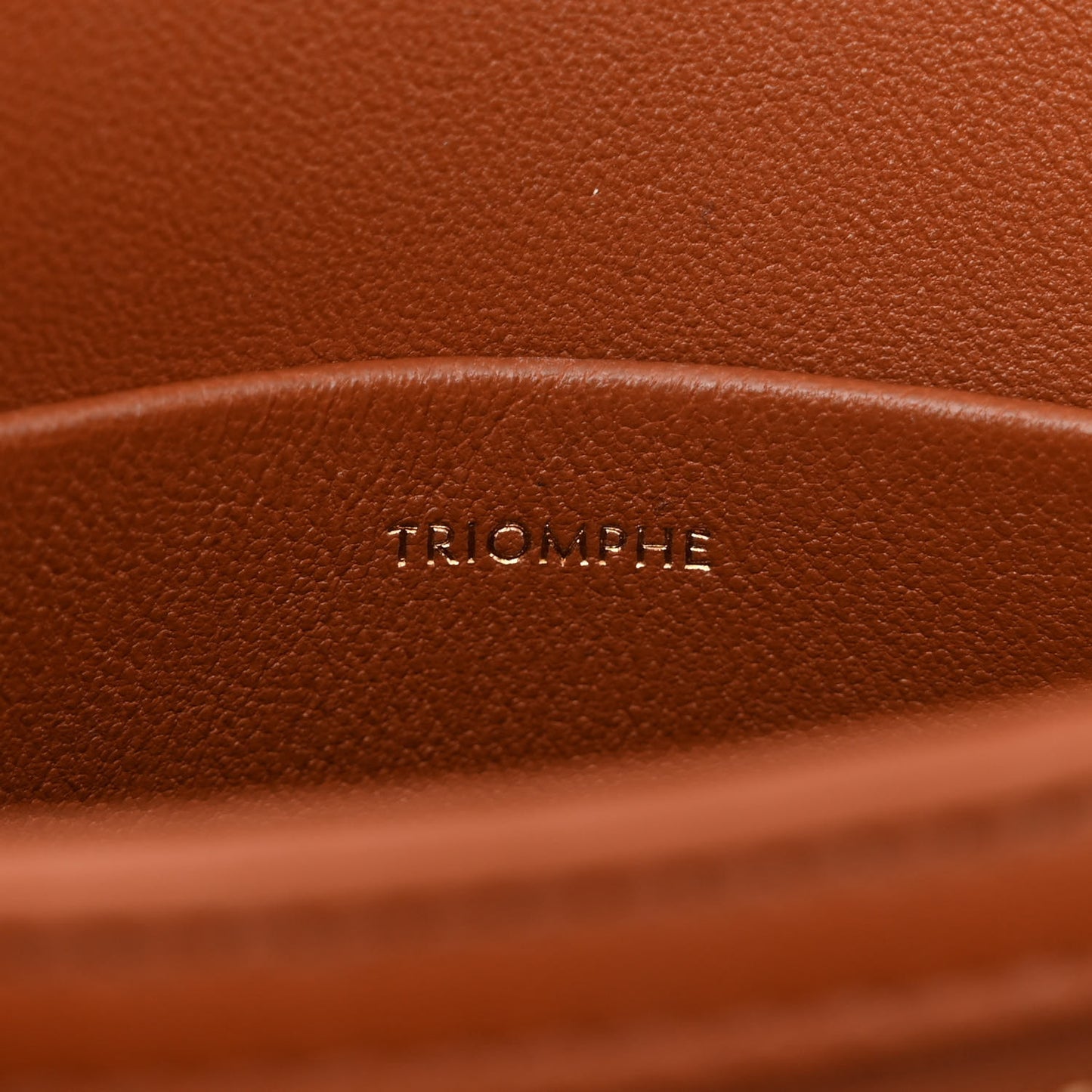 Calfskin Triomphe Canvas Teen Triomphe Bag Tan