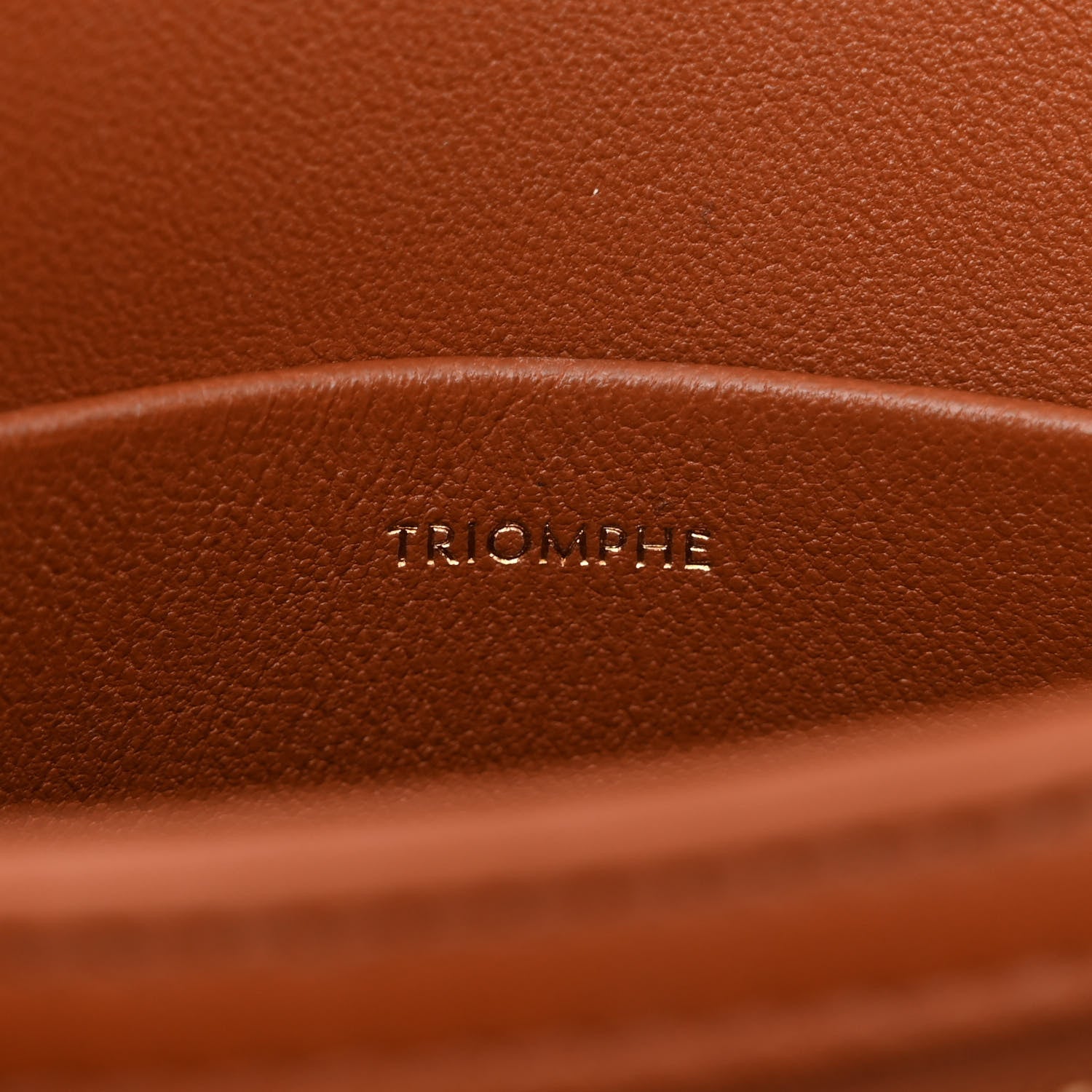 Celine Calfskin Triomphe Canvas Teen Triomphe Bag Tan 8 of 13