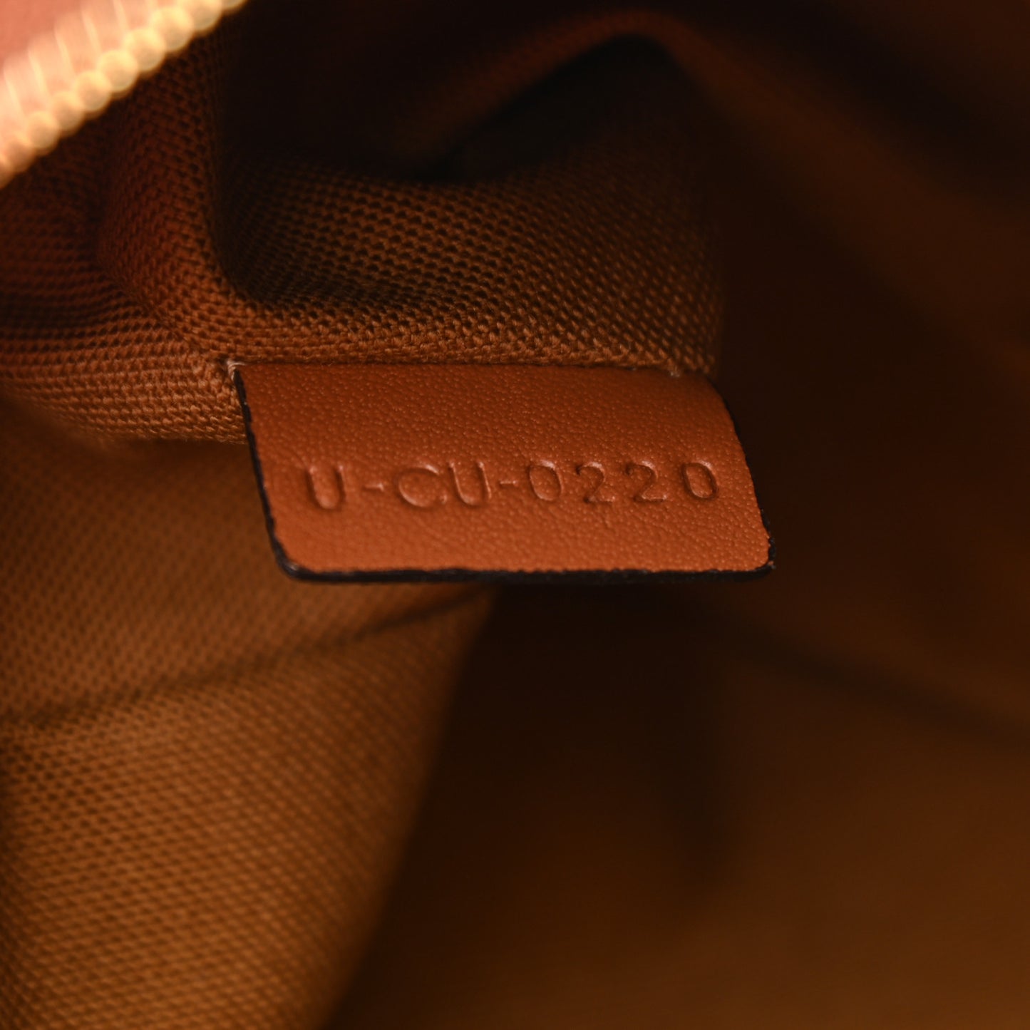 Triomphe Canvas Small Camera Bag Tan