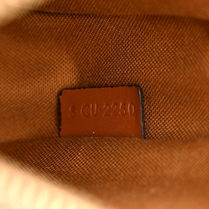 Celine Triomphe Canvas Small Camera Bag Tan 7 of 10