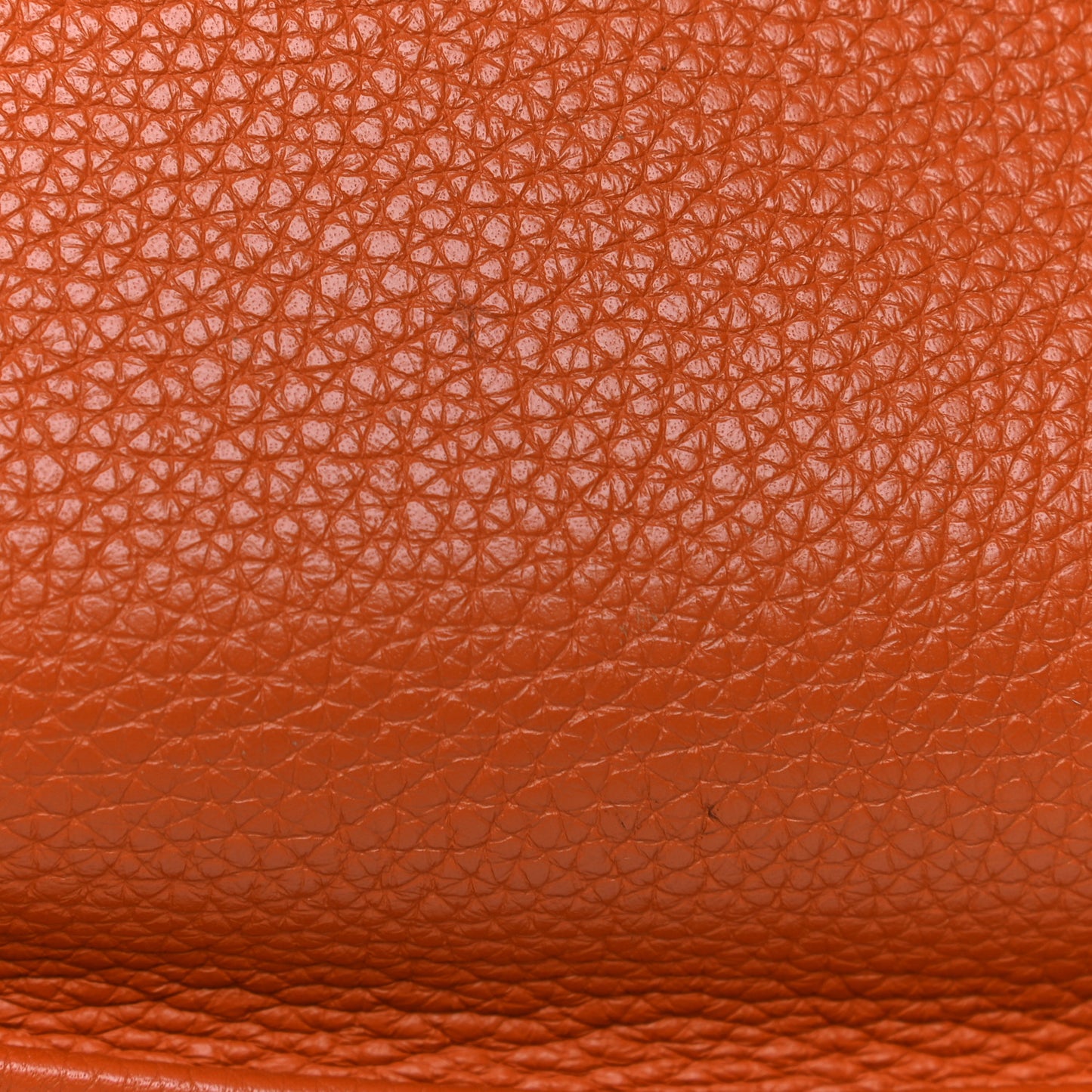 Taurillon Clemence Evelyne III GM Orange