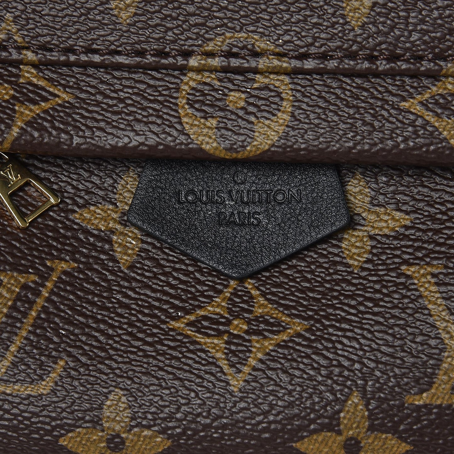 Monogram Palm Springs Backpack Mini