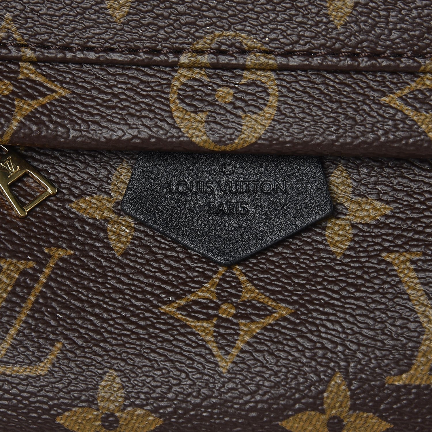 Louis Vuitton Monogram Palm Springs Backpack Mini 8 of 8