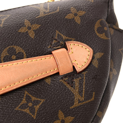Louis Vuitton Monogram Bumbag 10 of 17