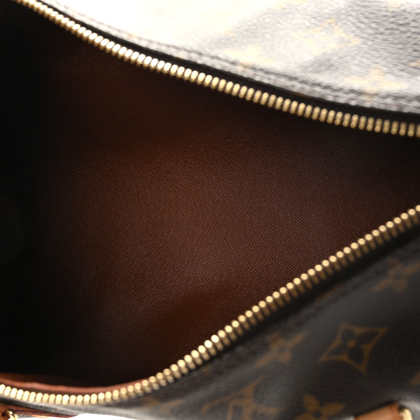 Monogram Papillon 30 with Companion