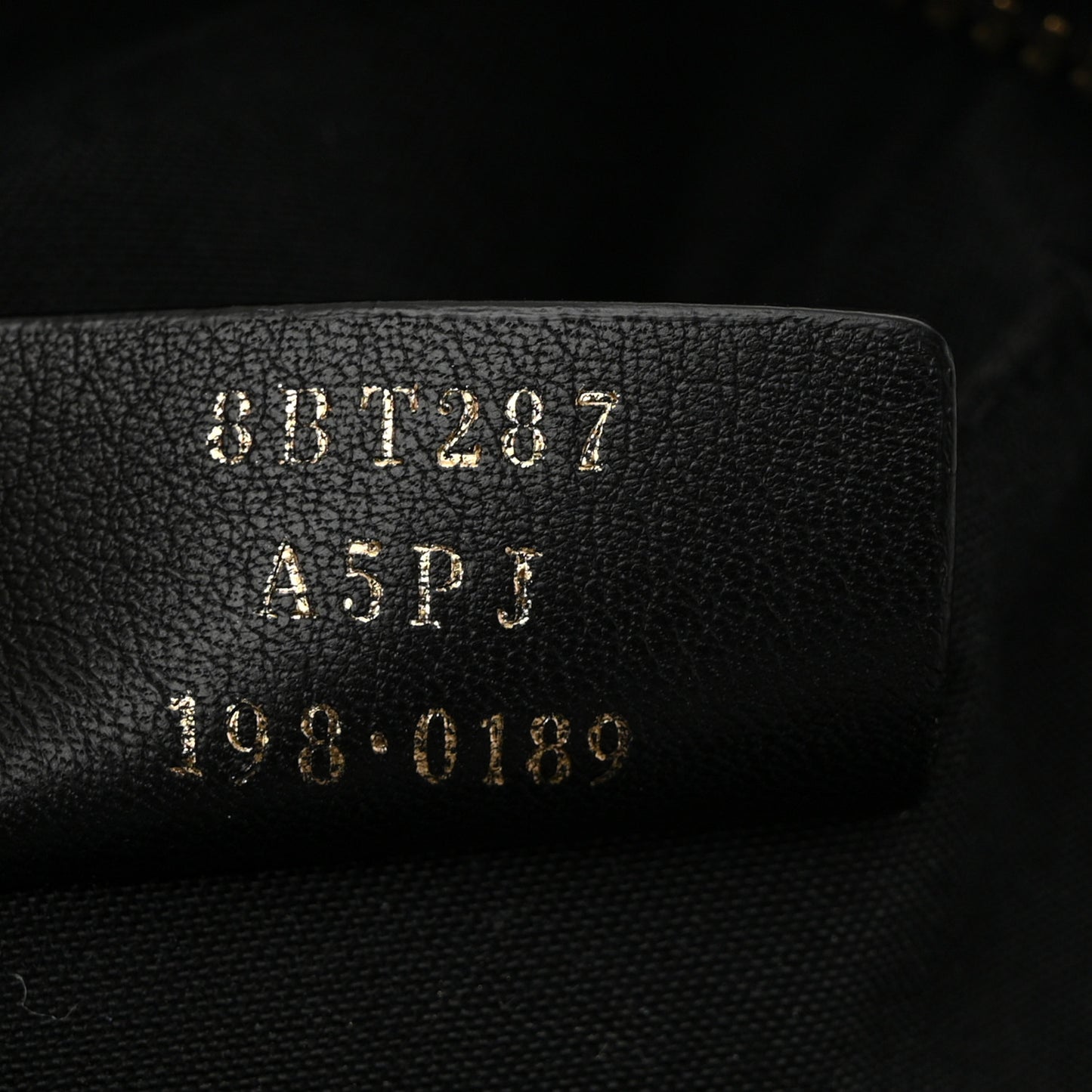 Vitello Century F is Fendi Bi-Color FF 1974 Embossed Camera Case Maya Black