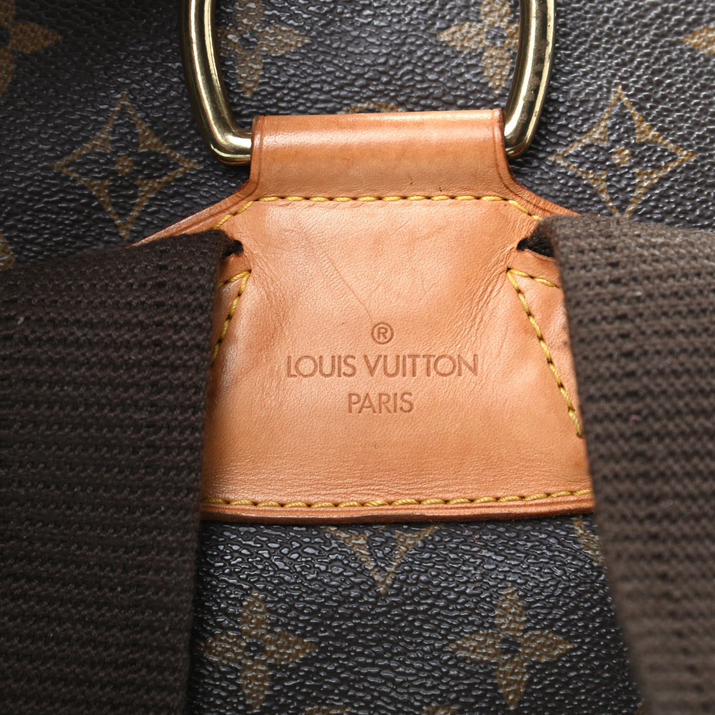 Monogram Montsouris GM Backpack