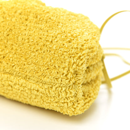 Bottega Veneta Boucle Curly Raffia The Mini Pouch Mirabelle 9 of 10