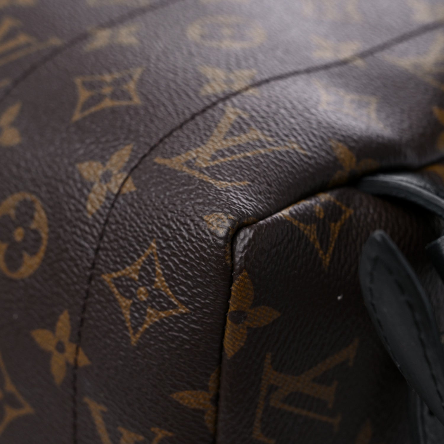 Louis Vuitton Monogram Palm Springs Backpack MM 10 of 12