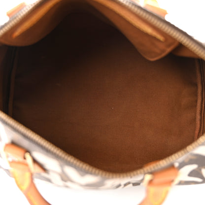 Louis Vuitton Monogram Graffiti Speedy 30 Silver 5 of 13