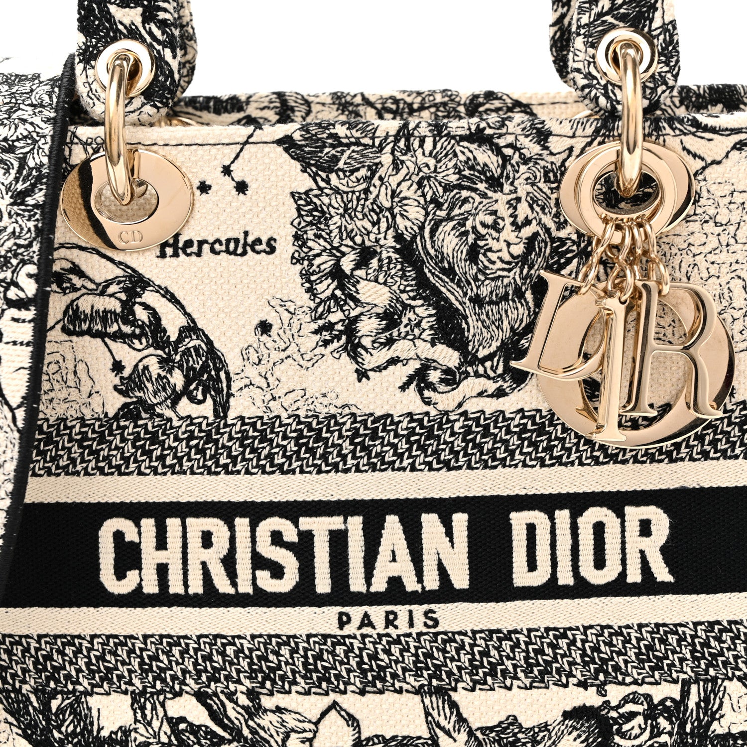 Christian Dior Canvas Embroidered Zodiac Toile De Jouy Medium Lady D-Lite Latte 8 of 10