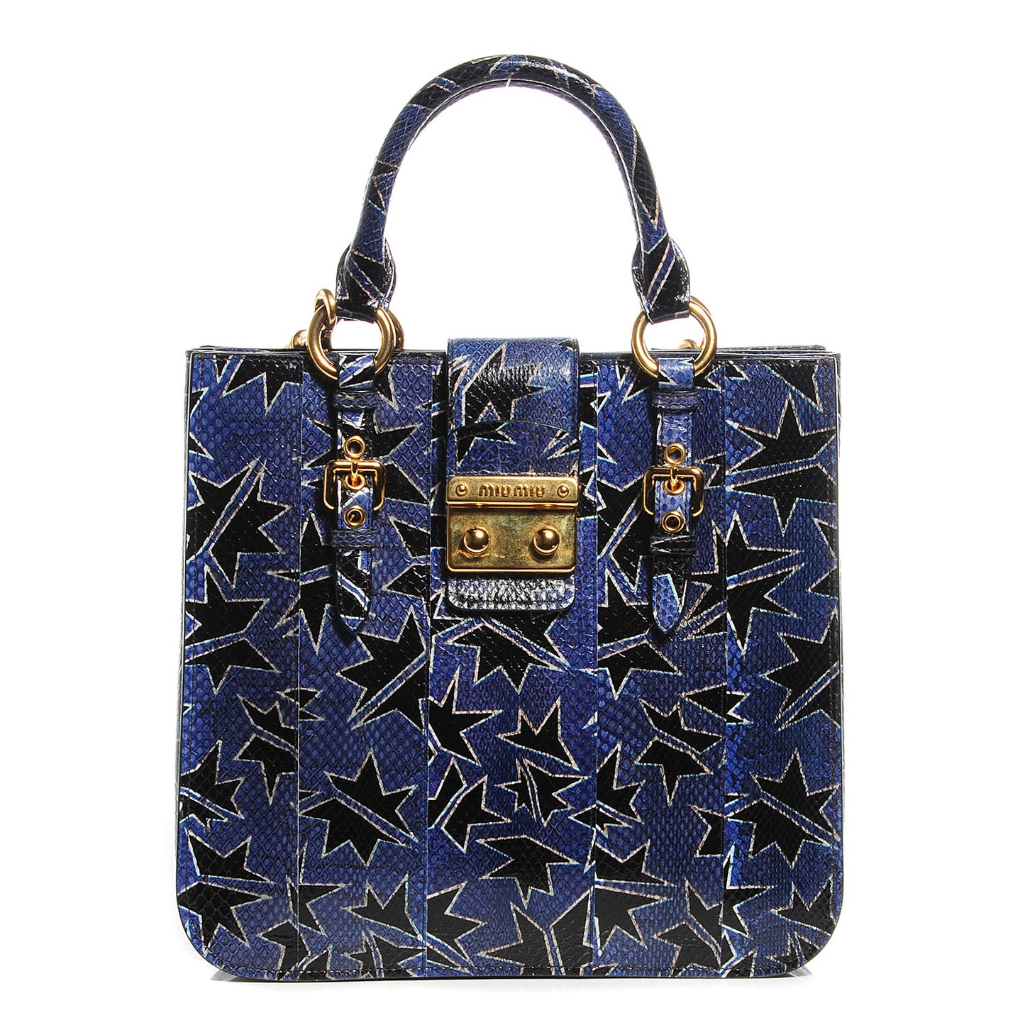 Hand Painted Ayers Watersnake Shopping Tote
