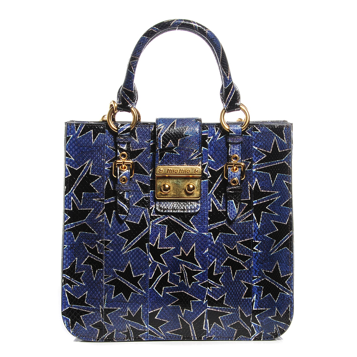 Miu Miu Hand Painted Ayers Watersnake Shopping Tote 1 of 9