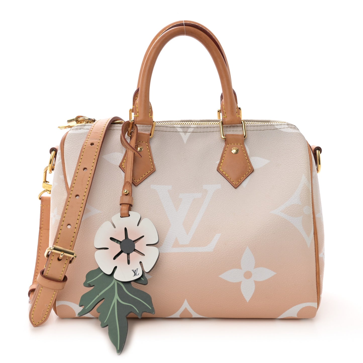 Monogram Giant By The Pool Speedy Bandouliere 25 Brume
