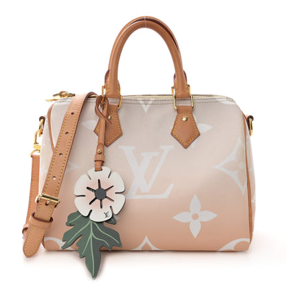 Louis Vuitton Monogram Giant By The Pool Speedy Bandouliere 25 Brume 1 of 19