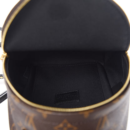 Louis Vuitton Monogram Palm Springs Backpack Mini 5 of 12