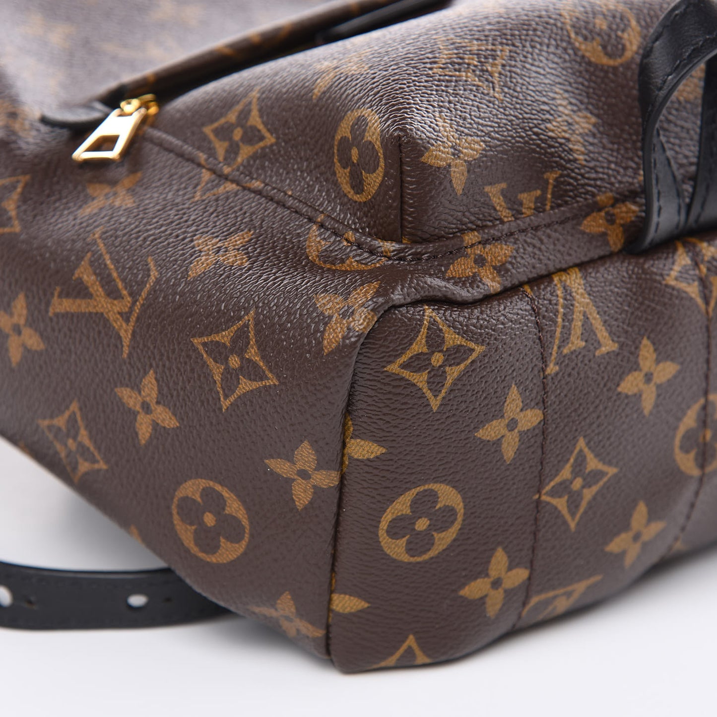 Monogram Palm Springs Backpack PM