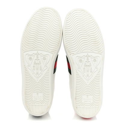 Gucci Calfskin Ayers Bee Embroidered Womens Ace Sneakers 37 White Green 6 of 10