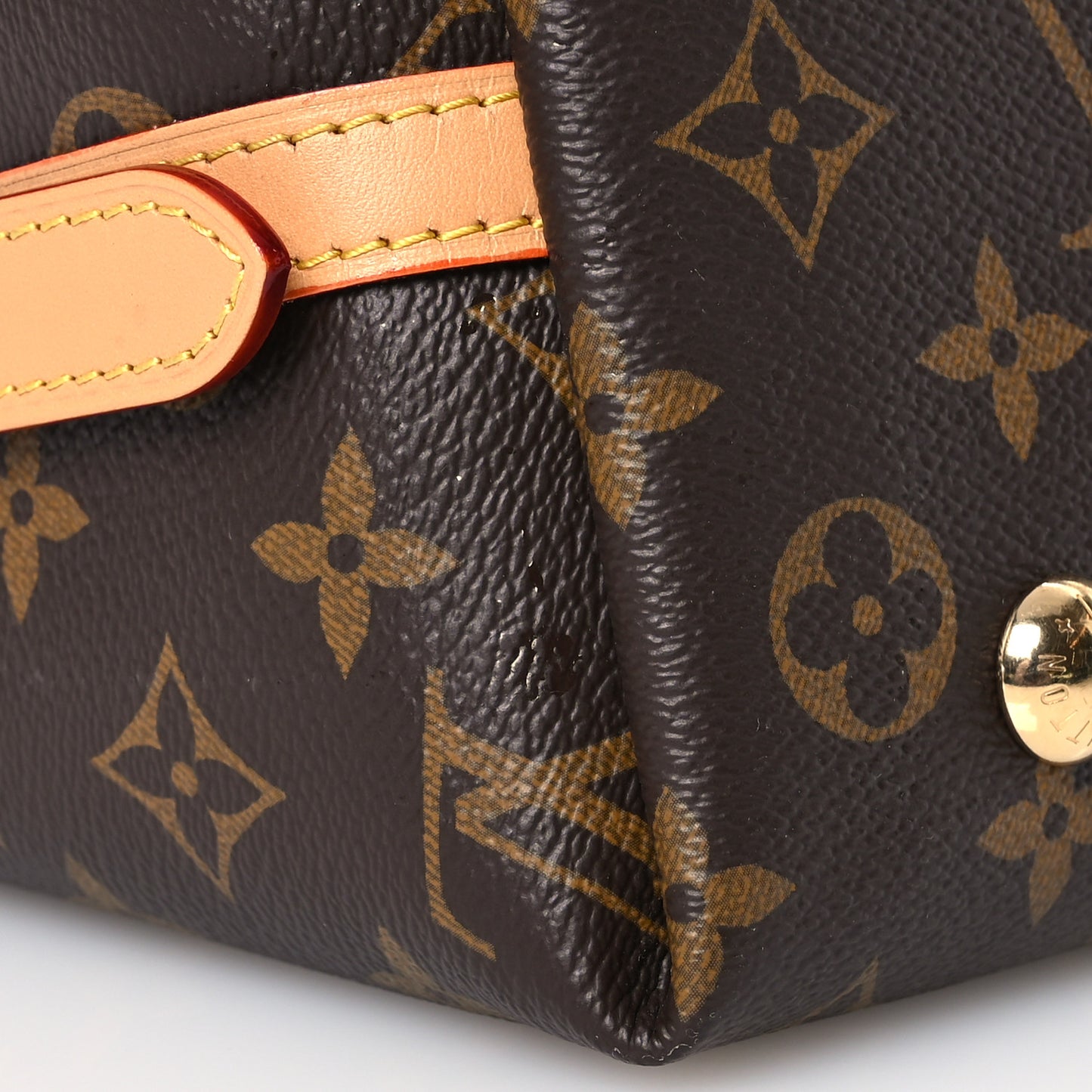 Monogram CarryAll PM