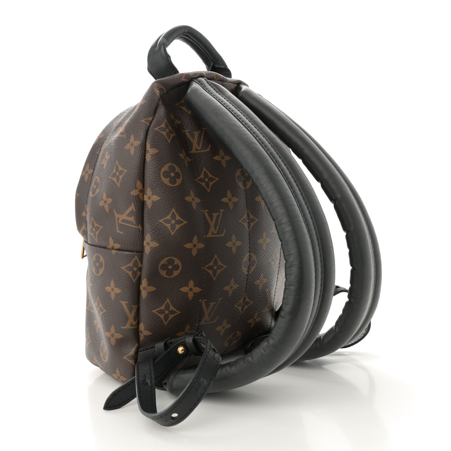 Louis Vuitton Monogram Palm Springs Backpack PM 3 of 13