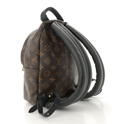 Louis Vuitton Monogram Palm Springs Backpack PM 3 of 13