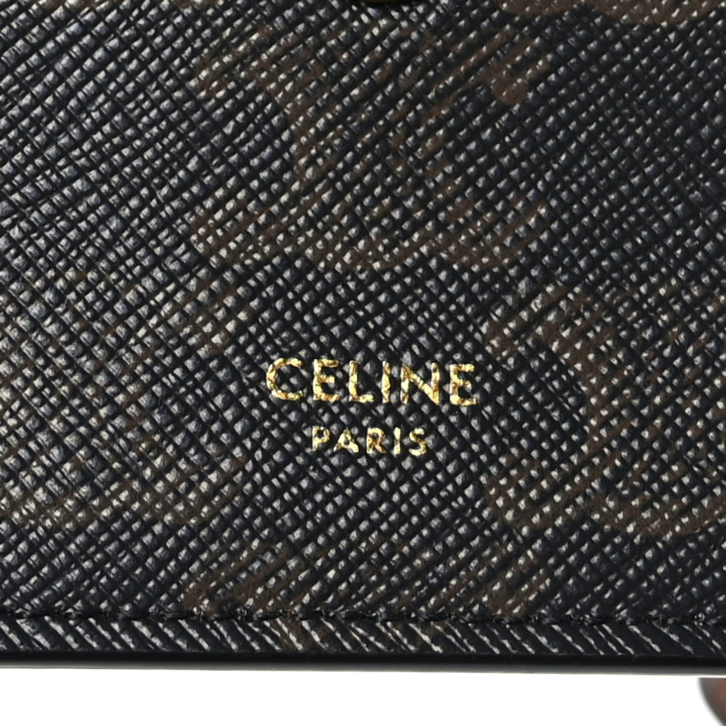 Triomphe Canvas Lambskin Wallet On Strap Tan