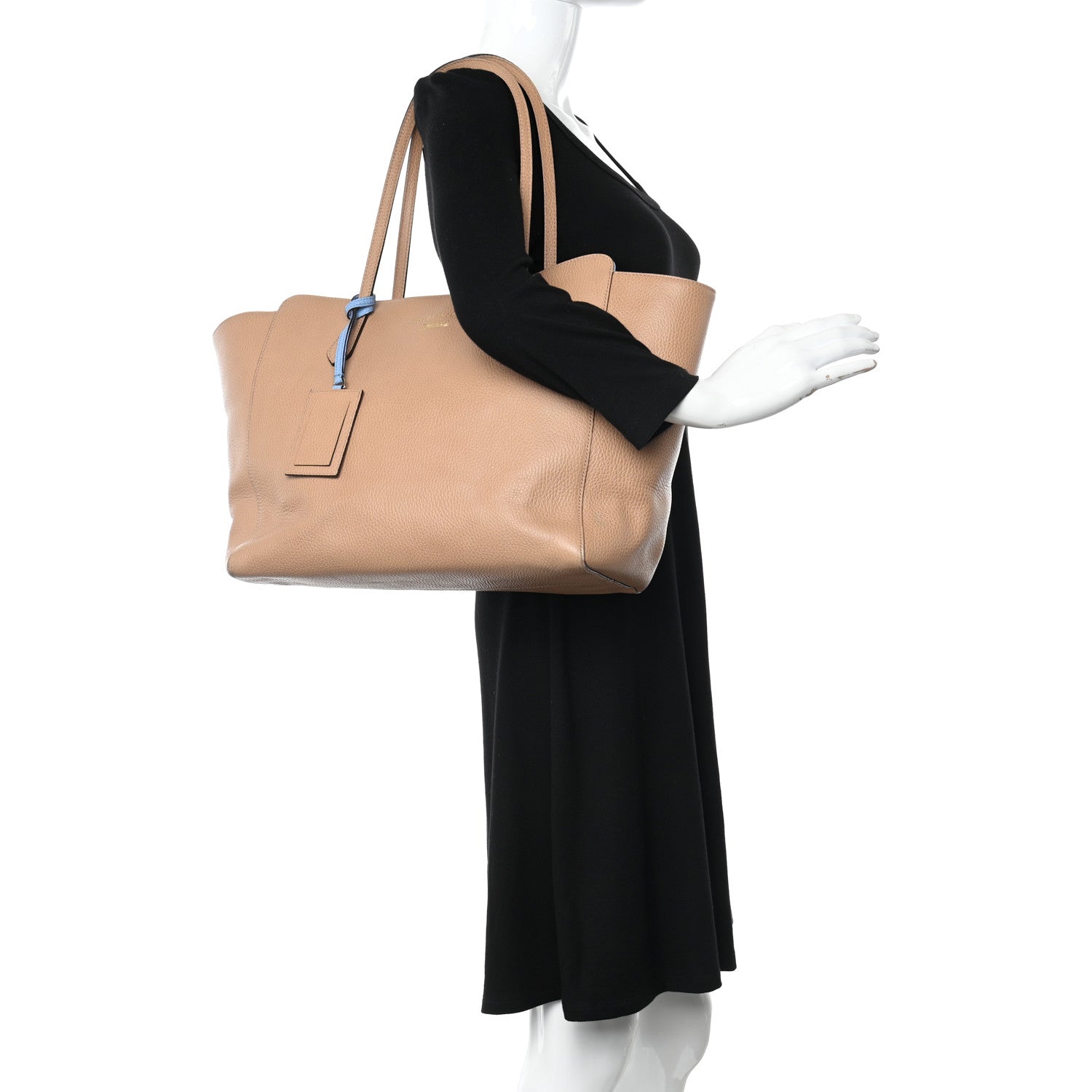 Gucci Dollar Calfskin Medium Swing Tote Camelia Mineral Blue 2 of 16