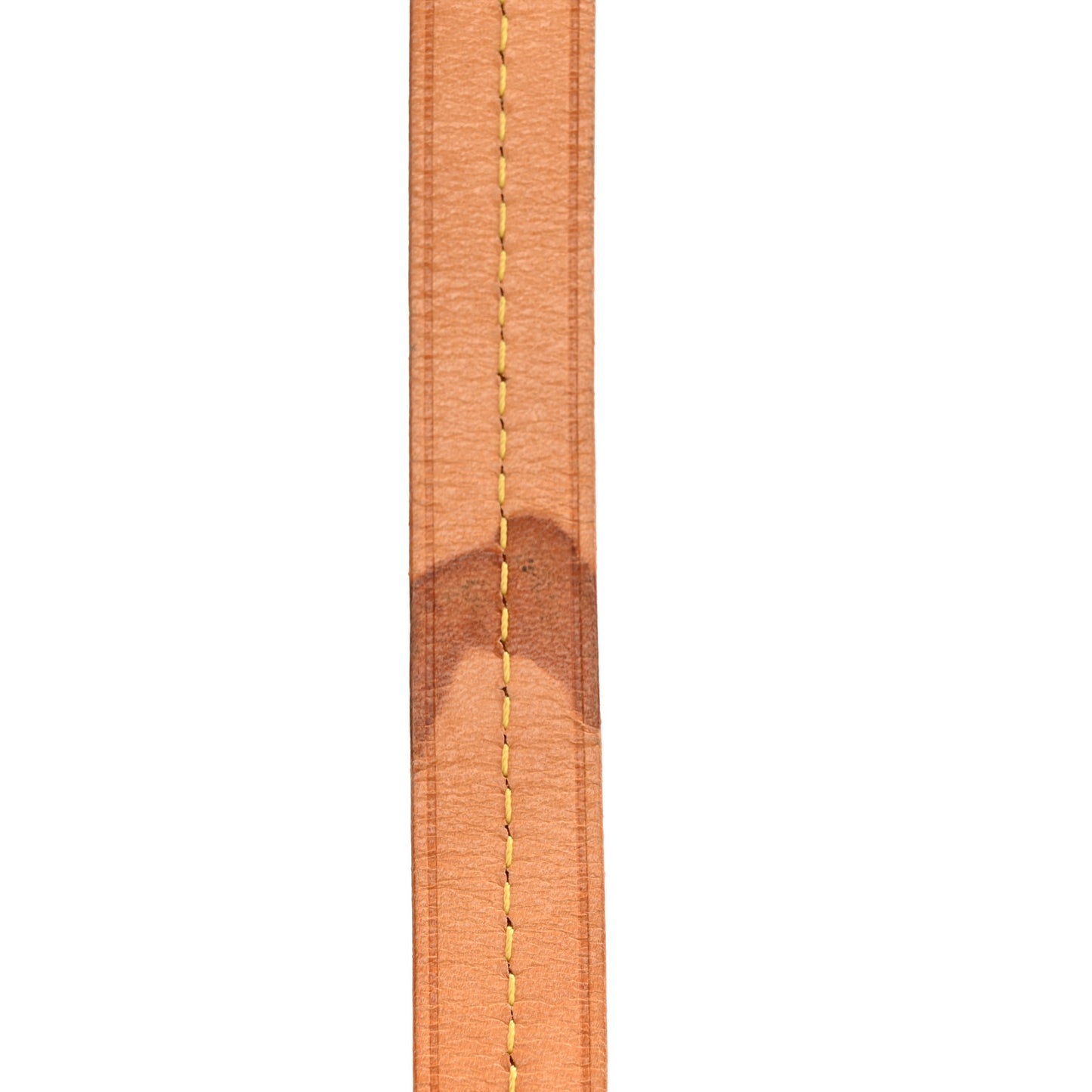 Monogram Turenne PM