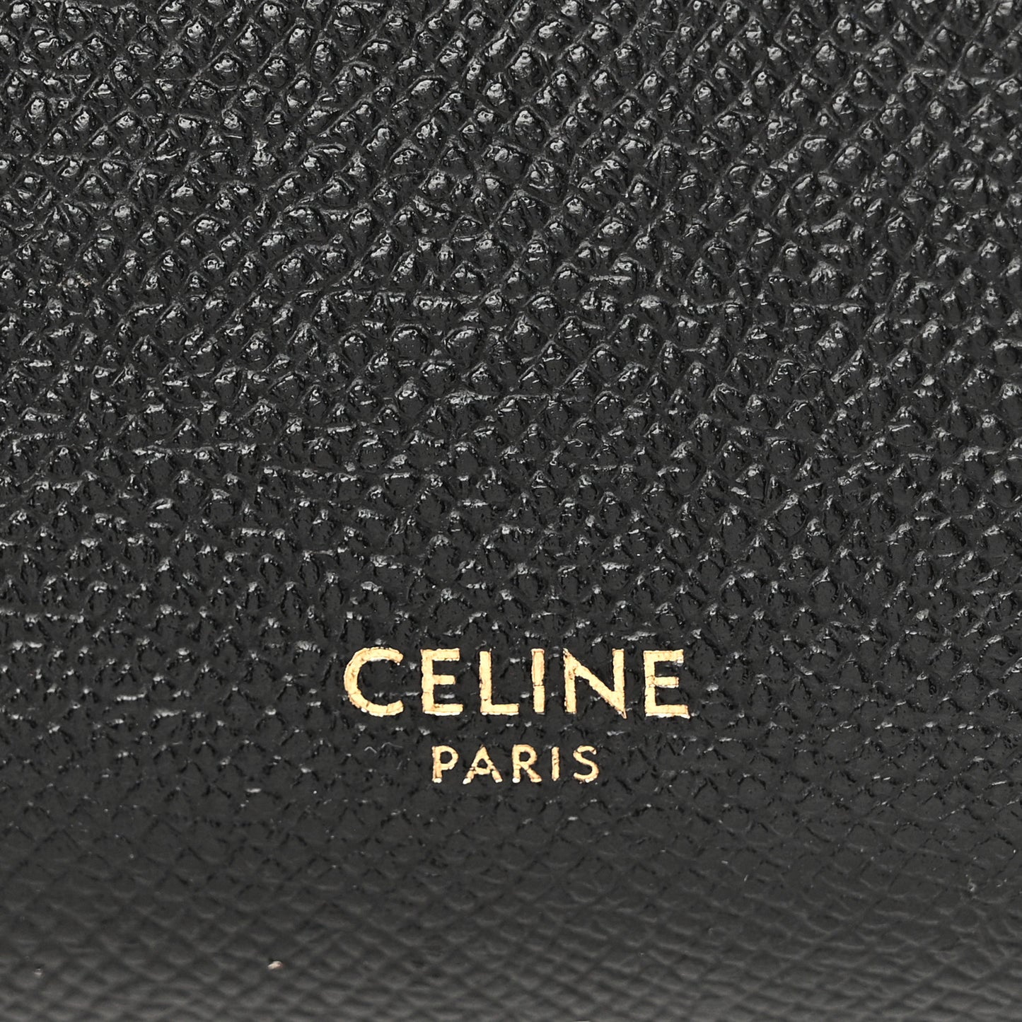 Grained Calfskin Pico Belt Bag Black