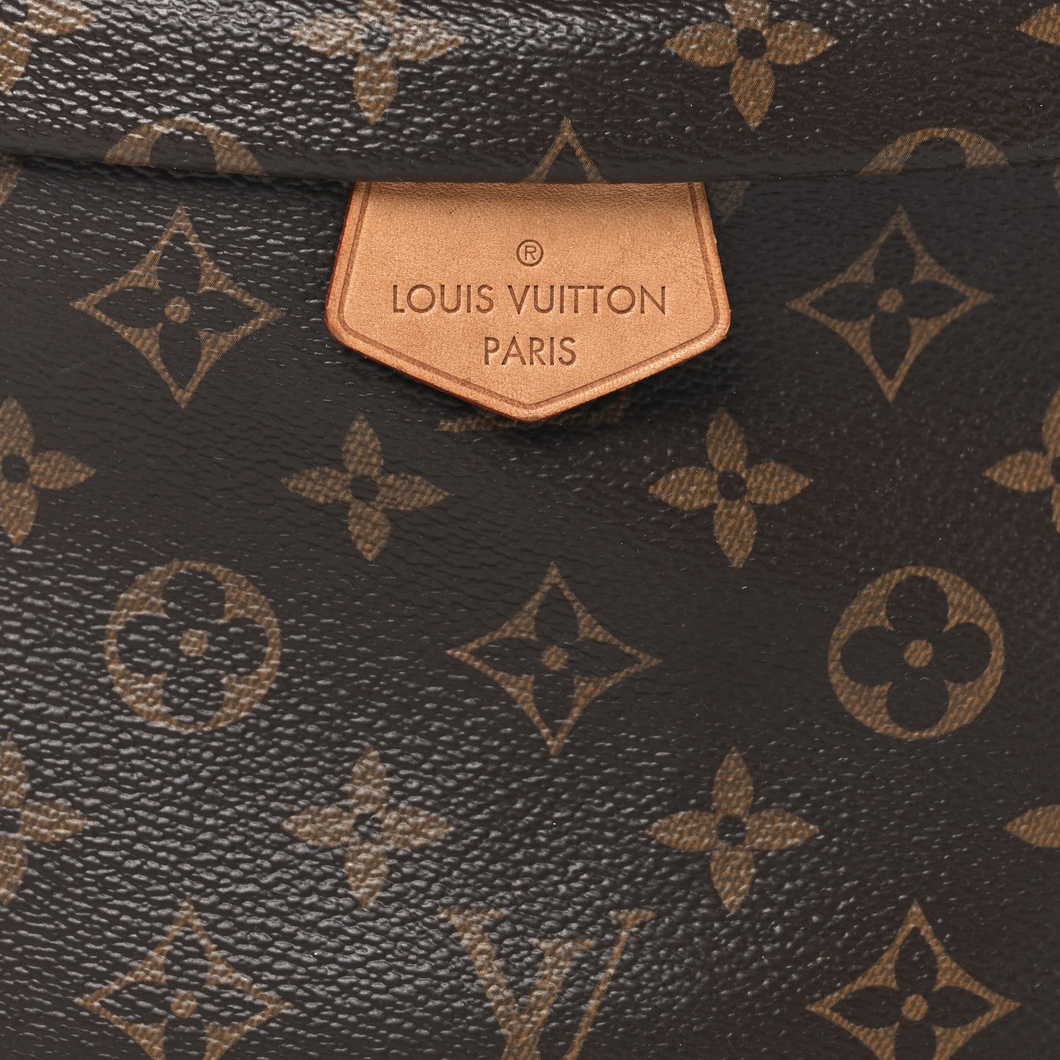 Louis Vuitton Monogram Bumbag 7 of 11